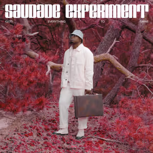 (Got) everything to shine